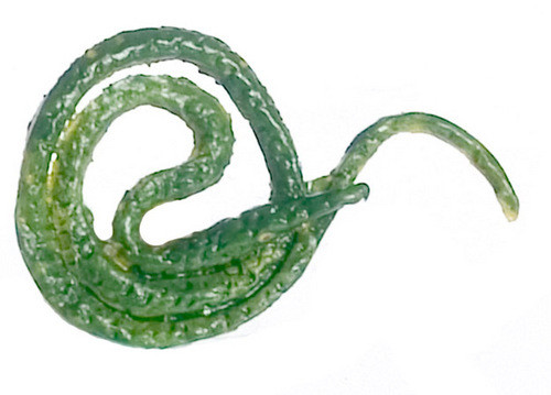 Dollhouse City - Dollhouse Miniatures Tree Snake