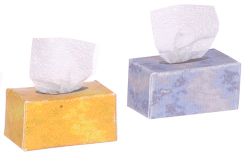 Set of Two Tissue Boxes
