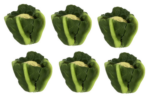Dollhouse City - Dollhouse Miniatures Cauliflower