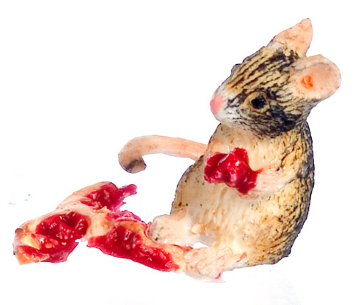 Mouse with T-Bone Steak