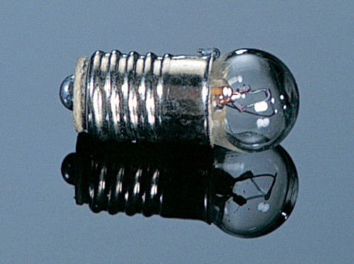 12 Volt Screw-Base Bulb