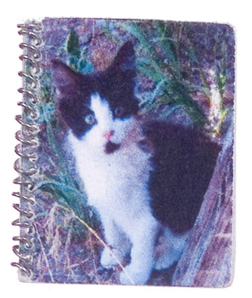 Kitten Spiral Notebook