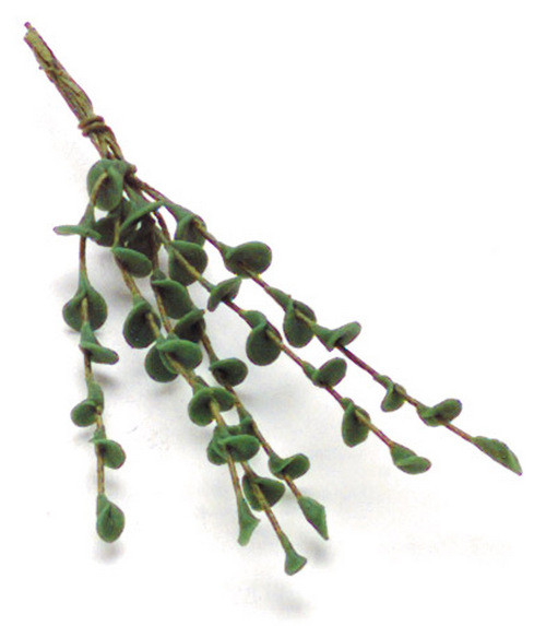 Tiny Stems of Leaves