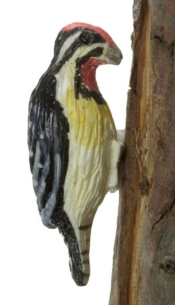 Dollhouse City - Dollhouse Miniatures Yellow Bellied Sapsucker