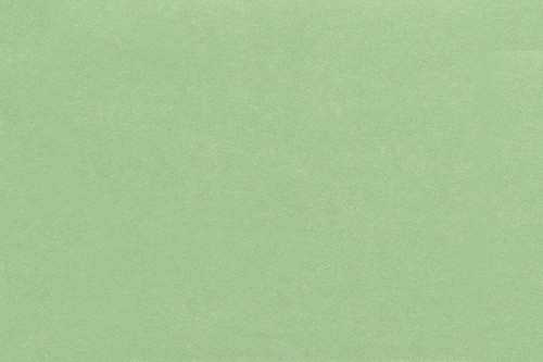 Wallpaper French Bouquet Set - Celery