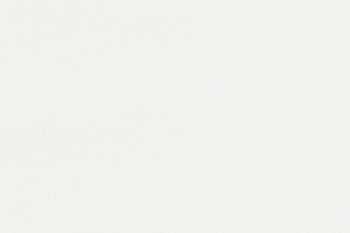 Wallpaper French Bouquet Solid Set - Creme