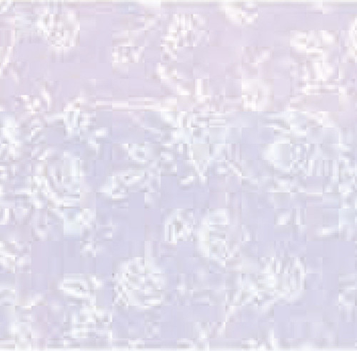 Wallpaper Tiffany Reverse Set - Lilac