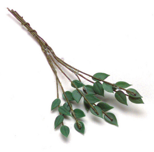 Rose Leaves