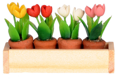 Window Box with Flowers Pots