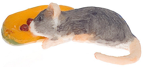 Mouse Eating Papaya