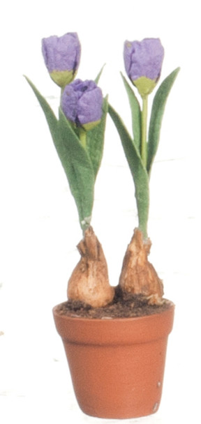 Tulips Terra Cotta Pot - Purple