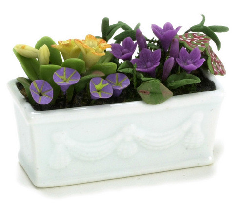 Flowers in Window Box