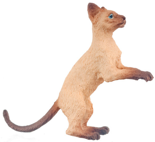 Dollhouse City - Dollhouse Miniatures Cat - Siamese Brown