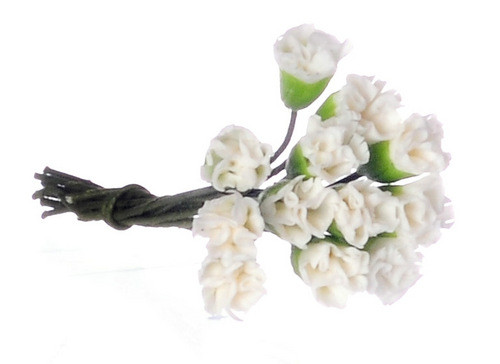 Mini Carnations - White