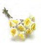 Roses - Yellow