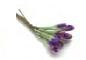 Daisy - Purple