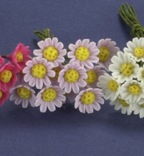 Daisy - Purple