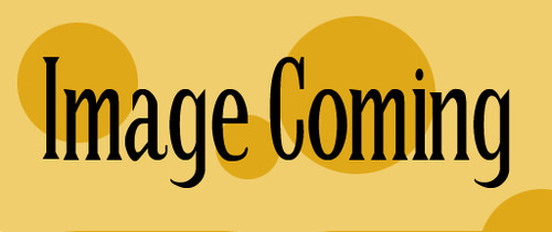 Decorative Diamond Asphalt Shingles - Frost