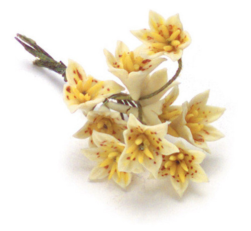 Tiger Lily - Yellow