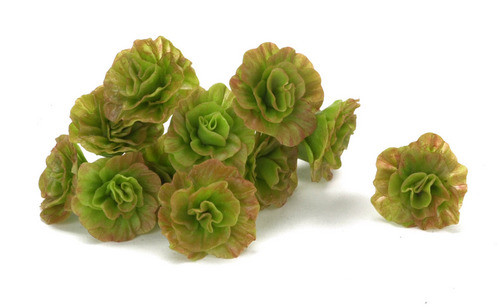 Dollhouse City - Dollhouse Miniatures Leaf Lettuce - Red