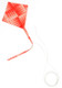 Kite