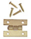 Dollhouse City - Dollhouse Miniatures Flush Hinges with Nails Set
