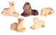 Dogs - Assorted