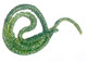 Dollhouse City - Dollhouse Miniatures Tree Snake