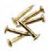 Escutheon Pins