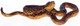Dollhouse City - Dollhouse Miniatures King Cobra