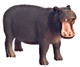 Dollhouse City - Dollhouse Miniatures Scale Hippopotamus