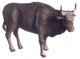 Dollhouse City - Dollhouse Miniatures Scale Steer