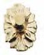 Medallion Knob Set - Brass