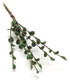 Tiny Stems of Leaves