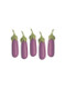 Egg Plants