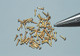 Dollhouse City - Dollhouse Miniatures Brass Brads