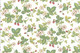 Wallpaper Schumacher Set - Strawberry