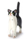 Dollhouse City - Dollhouse Miniatures Kitten - Black and White