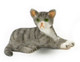 Dollhouse City - Dollhouse Miniatures Kitten - Grey