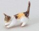 Dollhouse City - Dollhouse Miniatures Kitten - Tabby