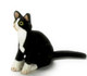 Dollhouse City - Dollhouse Miniatures Kitten - Black with White Socks