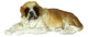 Dollhouse City - Dollhouse Miniatures Laying Saint Bernard
