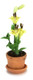 Lily in Pot - Yellow