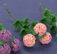 Rhododendron Stems - Pink