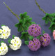 Rhododendron Stems - Purple