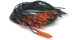 Large Orange Flame Bulb