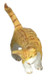 Dollhouse City - Dollhouse Miniatures Cat Rubbing Right - Orange