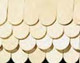 Fishcale Shingles