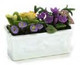Flowers in Window Box