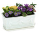 Flowers in Window Box